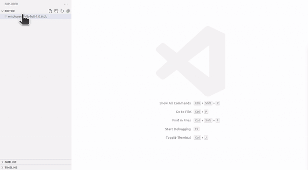 SQLite3_Editor_demo.gif